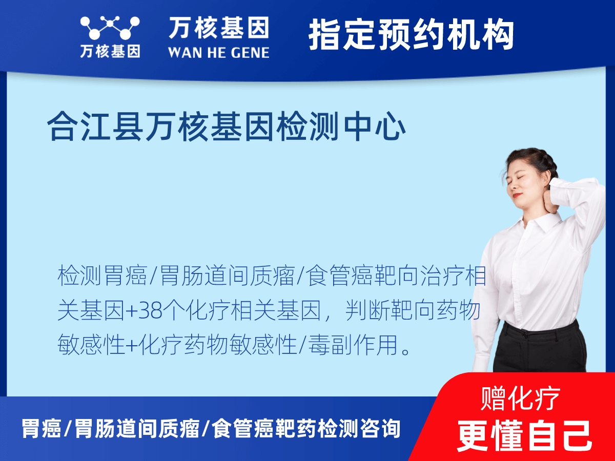 胃癌/胃腸道間質(zhì)瘤/食管癌靶藥51基因+PD-L1+MSI檢測(cè) 胃癌/胃腸道間質(zhì)瘤/食管癌靶藥51基因+PD-L1+MSI檢測(cè)