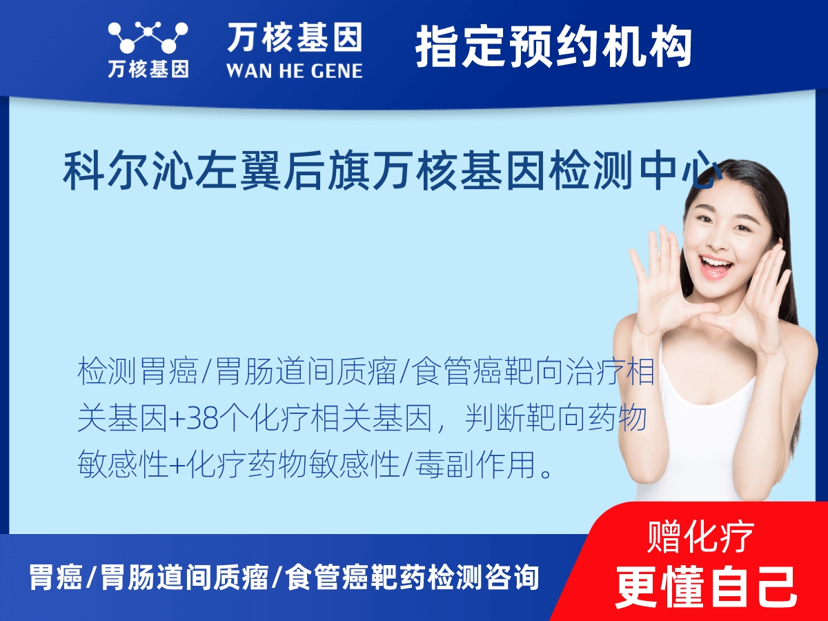 胃癌/胃腸道間質(zhì)瘤/食管癌靶藥51基因檢測(cè) 胃癌/胃腸道間質(zhì)瘤/食管癌靶藥51基因檢測(cè)