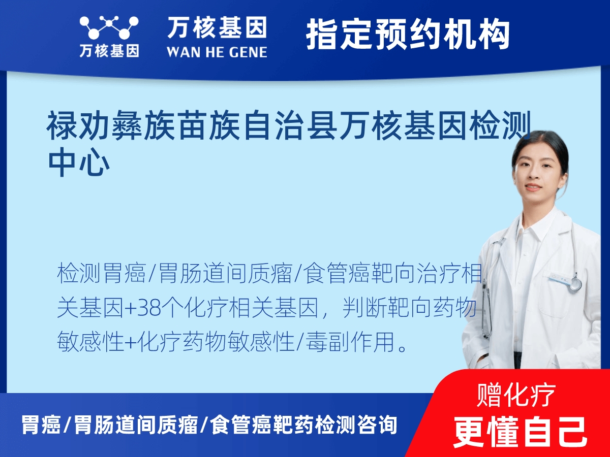 胃癌/胃腸道間質(zhì)瘤/食管癌靶藥51基因+PD-L1+MSI檢測(cè) 胃癌/胃腸道間質(zhì)瘤/食管癌靶藥51基因+PD-L1+MSI檢測(cè)