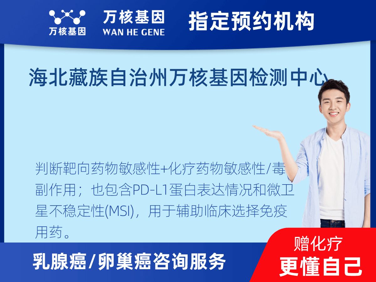 乳腺癌/卵巢癌靶70基因+MSI+PD-L1檢測(cè) 乳腺癌/卵巢癌靶70基因+MSI+PD-L1檢測(cè)