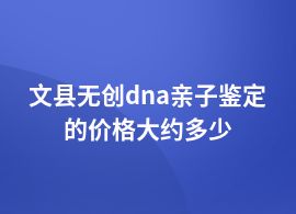 文縣無(wú)創(chuàng)dna親子鑒定的價(jià)格大約多少