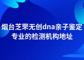 煙臺(tái)芝罘無創(chuàng)dna親子鑒定部門地址查詢