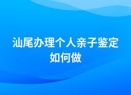 汕尾個(gè)人親子鑒定要什么流程