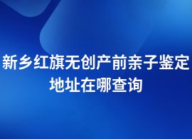 新鄉(xiāng)紅旗無創(chuàng)產(chǎn)前親子鑒定可以在哪里做