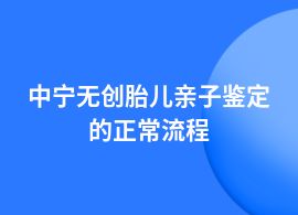 中寧無創(chuàng)胎兒親子鑒定檢測(cè)流程