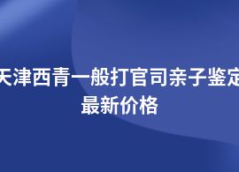 天津西青做打官司親子鑒定大概要多少錢